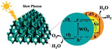 Graphical abstract: A photonic crystal-based CdS–Au–WO3 heterostructure for efficient visible-light photocatalytic hydrogen and oxygen evolution