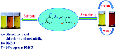 Graphical abstract: 8(E)-4-[{2-(2,4-dinitrophenyl)hydrazono}benzene-1,3-diol] as a solvatochromic Schiff base and chromogenic signaling of water content by its deprotonated form in acetonitrile
