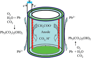 Graphical abstract: Lead ions removal from aqueous solution in a novel bioelectrochemical system with a stainless steel cathode