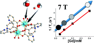 Graphical abstract: Gadolinium nicotinate clusters as potential MRI contrast agents