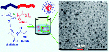 Graphical abstract: New amphiphilic block copolymers from lactic acid and cholinium building units