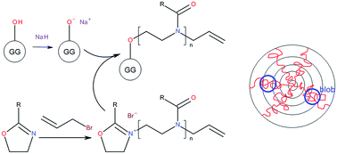 Glycogen-graft-poly(2-alkyl-2-oxazolines) – the new versatile ...