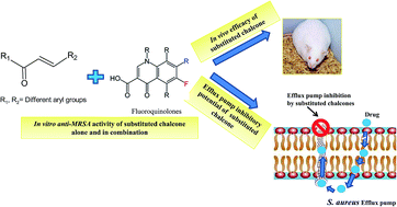 Graphical abstract: In vitro and in vivo synergistic interaction of substituted chalcone derivatives with norfloxacin against methicillin resistant Staphylococcus aureus