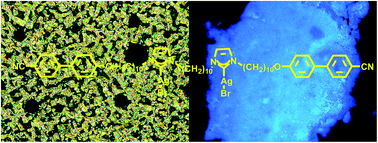 Graphical abstract: Liquid crystals based on silver carbene complexes derived from dimeric bis(imidazolium) bromide salts