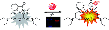 Graphical abstract: A simple and effective fluorescent probe based on rhodamine B for determining Pd2+ ions in aqueous solution