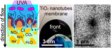 Photocatalytic degradation and toxicity evaluation of diclofenac by ...