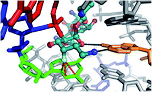 Graphical abstract: Synthesis, broad spectrum antibacterial activity, and X-ray co-crystal structure of the decoding bacterial ribosomal A-site with 4′-deoxy-4′-fluoro neomycin analogs