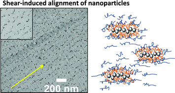 Graphical abstract: Modulating interfacial attraction of polymer-grafted nanoparticles in melts under shear