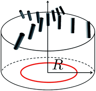 Graphical abstract: An equilibrium double-twist model for the radial structure of collagen fibrils