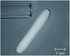 Graphical abstract: Capillary tube wetting induced by particles: towards armoured bubbles tailoring