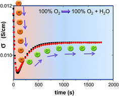 Graphical abstract: Transport properties and oxidation and hydration kinetics of the proton conductor Mo doped Nd5.5WO11.25−δ