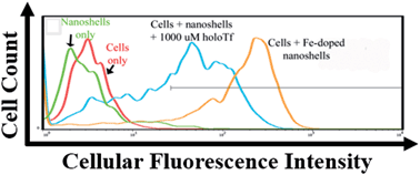 Graphical abstract: Self-assembled targeting of cancer cells by iron(iii)-doped, silica nanoparticles