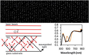 Graphical abstract: Self-organized growth of metallic nanoparticles in a thin film under homogeneous and continuous-wave light excitation