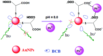 Graphical abstract: A turn-on near-infrared fluorescent chemosensor for selective detection of lead ions based on a fluorophore–gold nanoparticle assembly