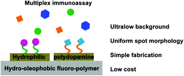 Graphical abstract: An ultralow background substrate for protein microarray technology