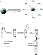 Graphical abstract: Hydrophilic modification of titania nanomaterials as a biofunctional adsorbent for selective enrichment of phosphopeptides