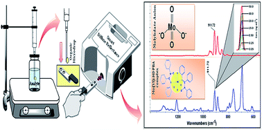 Graphical abstract: Nanogram level quantification of molybdenum(vi) by novel hyphenated SDME/DRS-FTIR in human biological fluid