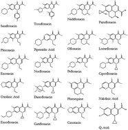 Graphical abstract: Determination of sarafloxacin and its analogues in milk using an enzyme-linked immunosorbent assay based on a monoclonal antibody