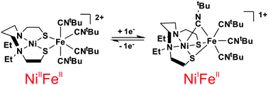 Graphical abstract: A Ni(i)Fe(ii) analogue of the Ni-L state of the active site of the [NiFe] hydrogenases