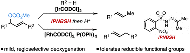 Graphical abstract: Chemo- and regioselective reductive transposition of allylic alcohol derivatives via iridium or rhodium catalysis