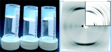 Graphical abstract: Hydrogels formed from Fmoc amino acids