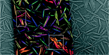 Graphical abstract: EBSD measurements of phlogopite glass ceramics