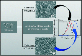 Graphical abstract: In situ monitoring the role of citrate in chemical bath deposition of PbS thin films