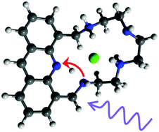 Graphical abstract: A fluorescent receptor for halide recognition: clues for the design of anion chemosensors