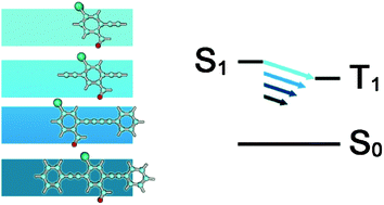 Graphical abstract: The effects of extended conjugation length of purely organic phosphors on their phosphorescence emission properties