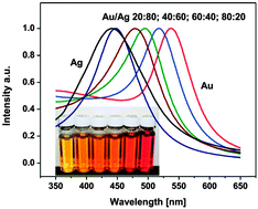 Graphical abstract: Magnetic and noble metal nanocomposites for separation and optical detection of biological species