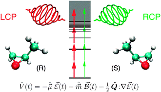 Graphical abstract: Laser-driven electron dynamics for circular dichroism in mass spectrometry: from one-photon excitations to multiphoton ionization