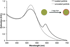 Fano Resonance In A Gold Nanosphere With A J-aggregate Coating,10.1039 