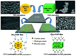 Graphical abstract: Enhancement of electroactive β phase crystallization and dielectric constant of PVDF by incorporating GeO2 and SiO2 nanoparticles