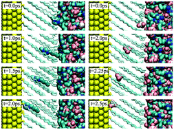 Graphical abstract: When do defectless alkanethiol SAMs in ionic liquids become penetrable? A molecular dynamics study