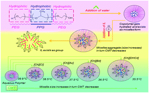 Graphical abstract: Structural insights into the effect of cholinium-based ionic liquids on the critical micellization temperature of aqueous triblock copolymers