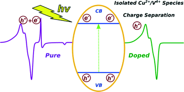 Graphical abstract: Photoactivity and charge trapping sites in copper and vanadium doped anatase TiO2 nano-materials