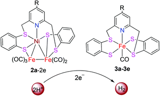 Novel reactions of homodinuclear Ni2 complexes [Ni(RNPyS4)]2 with Fe3 ...