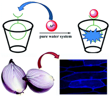 Graphical abstract: Water-soluble host–guest system from β-cyclodextrin as a fluorescent sensor for aluminium ions: synthesis and sensing studies