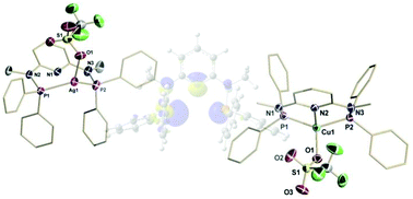 Graphical abstract: Coinage metal complexes supported by a “PN3P” scaffold