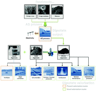 Graphical abstract: New opportunities for agricultural digestate valorization: current situation and perspectives