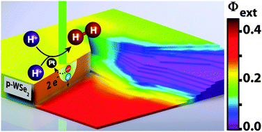 Graphical abstract: A scanning probe investigation of the role of surface motifs in the behavior of p-WSe2 photocathodes