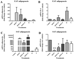 Graphical abstract: Sea cucumbers with an anti-inflammatory effect on endothelial cells and subcutaneous but not on epicardial adipose tissue