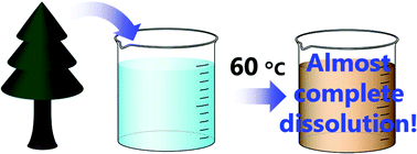 Graphical abstract: Almost complete dissolution of woody biomass with tetra-n-butylphosphonium hydroxide aqueous solution at 60 °C