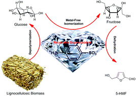 Graphical abstract: Sulphanilic acid as a recyclable bifunctional organocatalyst in the selective conversion of lignocellulosic biomass to 5-HMF