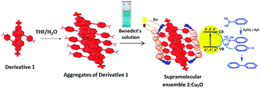 Graphical abstract: A supramolecular ensemble of a PBI derivative and Cu2O NPs: potential photocatalysts for the Suzuki and Suzuki type coupling reactions