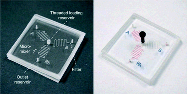 Graphical abstract: Rapid and inexpensive blood typing on thermoplastic chips