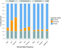 Graphical abstract: The distribution pattern of genetic variation in the transcript isoforms of the alternatively spliced protein-coding genes in the human genome