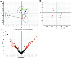 Graphical abstract: High resolution metabolomics technology reveals widespread pathway changes of alcoholic liver disease