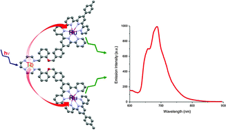 Graphical abstract: A new heterometallic terbium(iii)–ruthenium(ii) complex and its terbium(iii)–zinc(ii) analog: syntheses, characterization, luminescence, and electrochemical properties