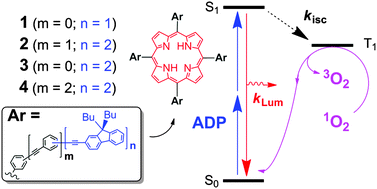 Graphical abstract: Dendritic molecular assemblies for singlet oxygen generation: meso-tetraphenylporphyrin-based biphotonic sensitizers with remarkable luminescence